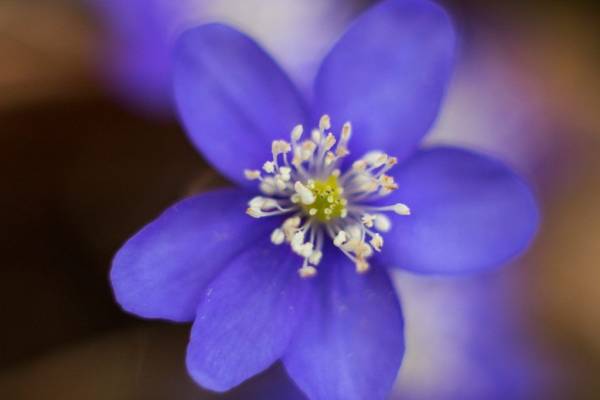 Le cose della vita che succedono - POSSIAMO STARE MEGLIO