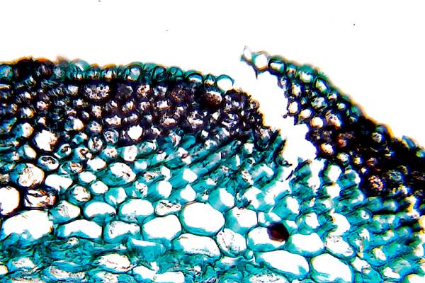 Triennale Estate | Gli appuntamenti dal 24 al 29 maggio