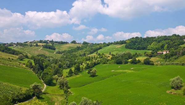 Invenzioni e tutele: chi sono i proprietari ''veri'' dei prodotti tipici?