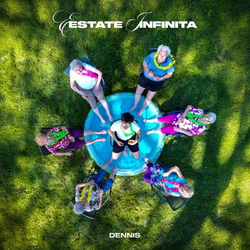 Dennis. Estate Infinita: l'estate imperfetta che r...